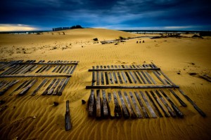 color_lamar_empalizadas_01