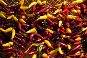 color_viajes_budapest_32