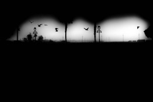 b&n_laciudad_niebla_02