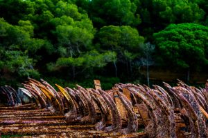 color_elmar_anclas_15