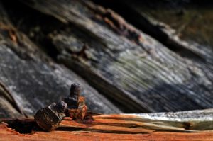 color_lamar_peciosabandonados_01