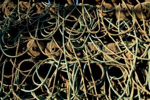 color_lamar_redes_02